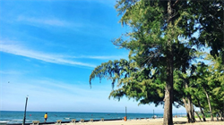 What's so attractive about Doi Duong beach?